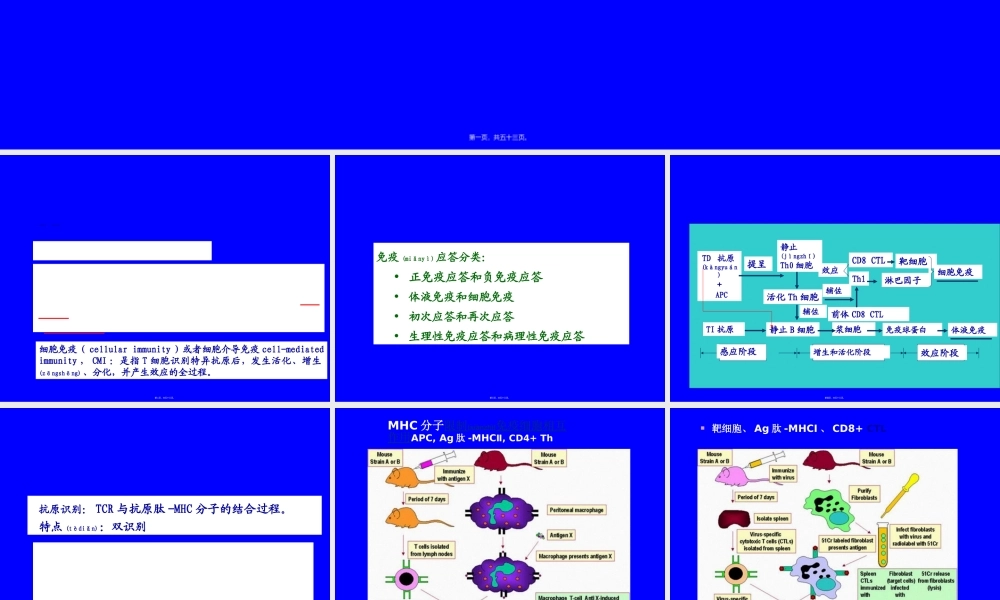 2022年医学专题—T淋巴细胞介导的细胞免疫应答(1).ppt