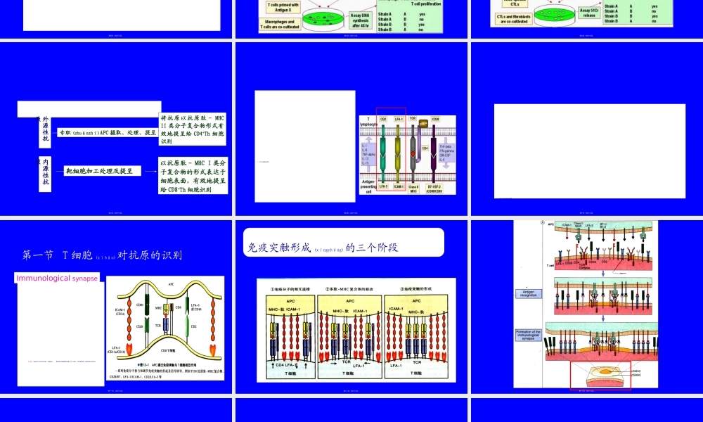 2022年医学专题—T淋巴细胞介导的细胞免疫应答(1).ppt