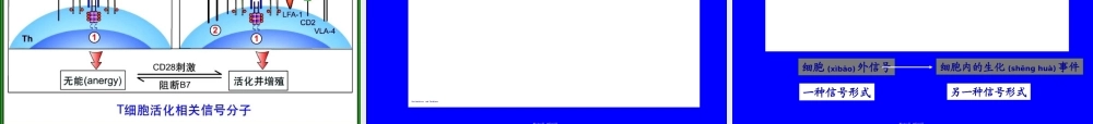 2022年医学专题—T淋巴细胞介导的细胞免疫应答(1).ppt