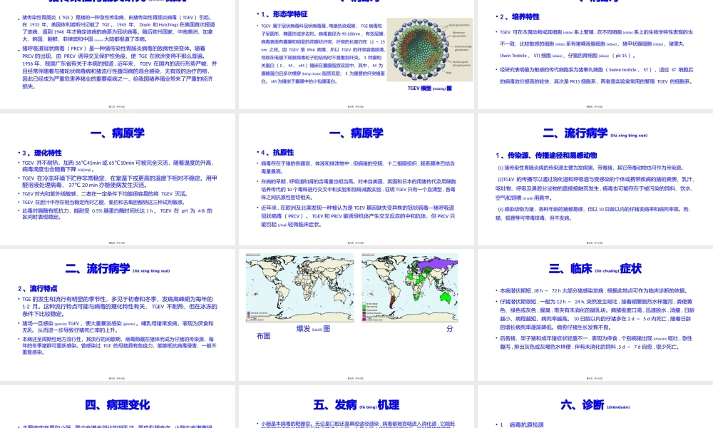 2022年医学专题—传染性胃肠炎TGEV(1).pptx