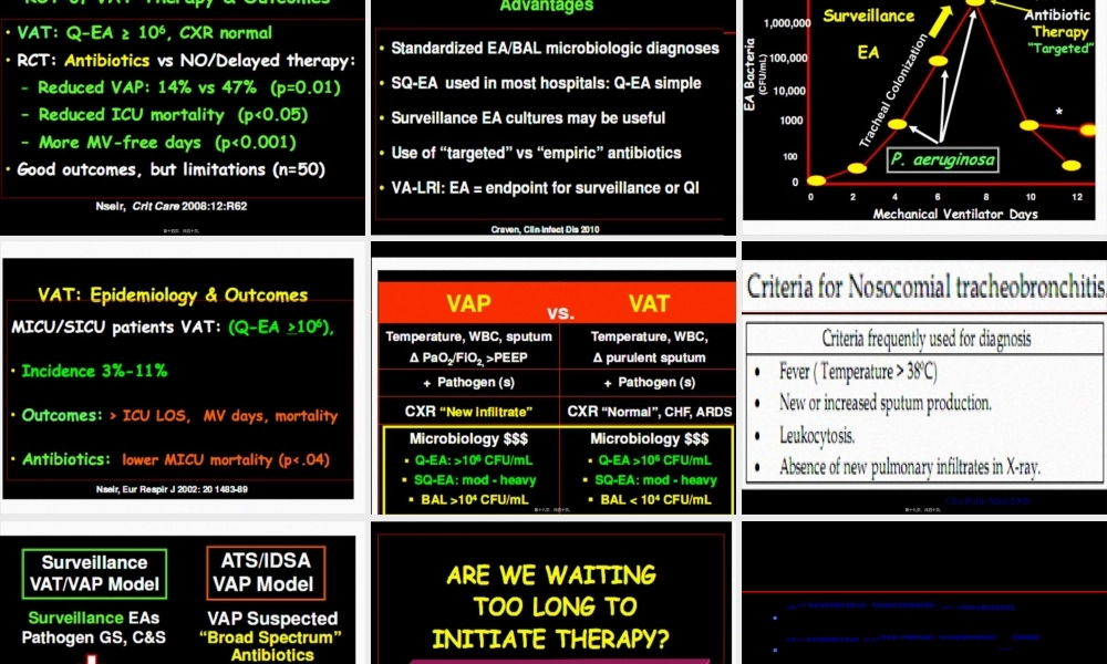 2022年医学专题—何礼贤-MV-NGNB菌肺部感染(1).ppt