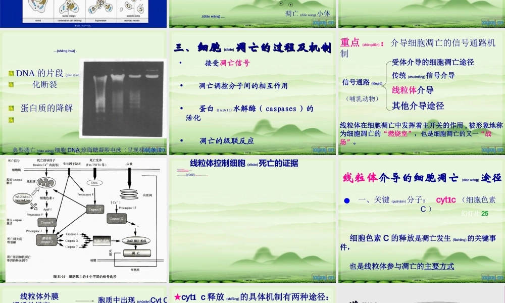 2022年医学专题—介导细胞凋亡的信号通路(1).ppt
