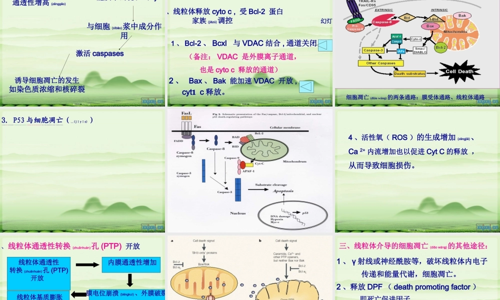 2022年医学专题—介导细胞凋亡的信号通路(1).ppt