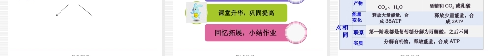 2022年医学专题—《ATP的主要来源细胞呼吸》说课稿详解(1).ppt