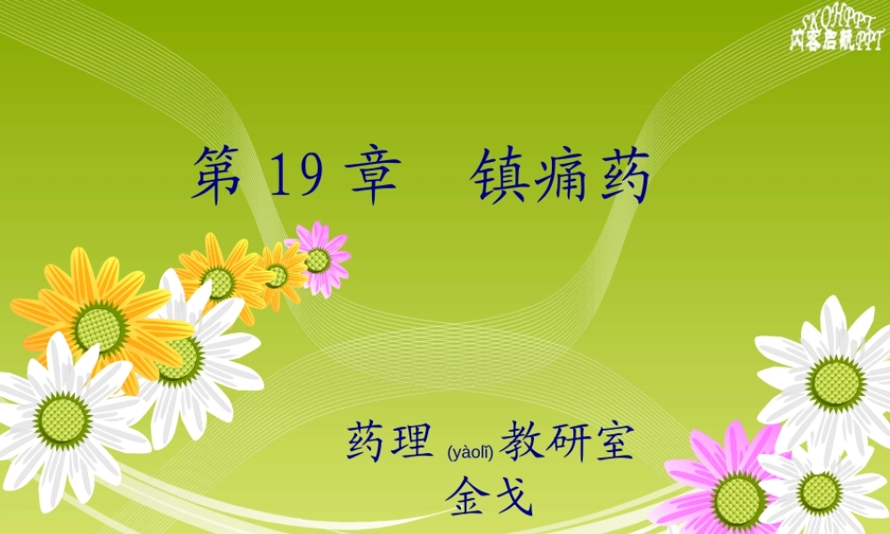 2022年医学专题—【若风制作】2014--19-中枢镇痛药解读(1).ppt