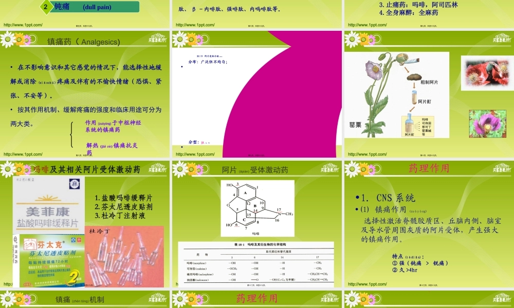 2022年医学专题—【若风制作】2014--19-中枢镇痛药解读(1).ppt