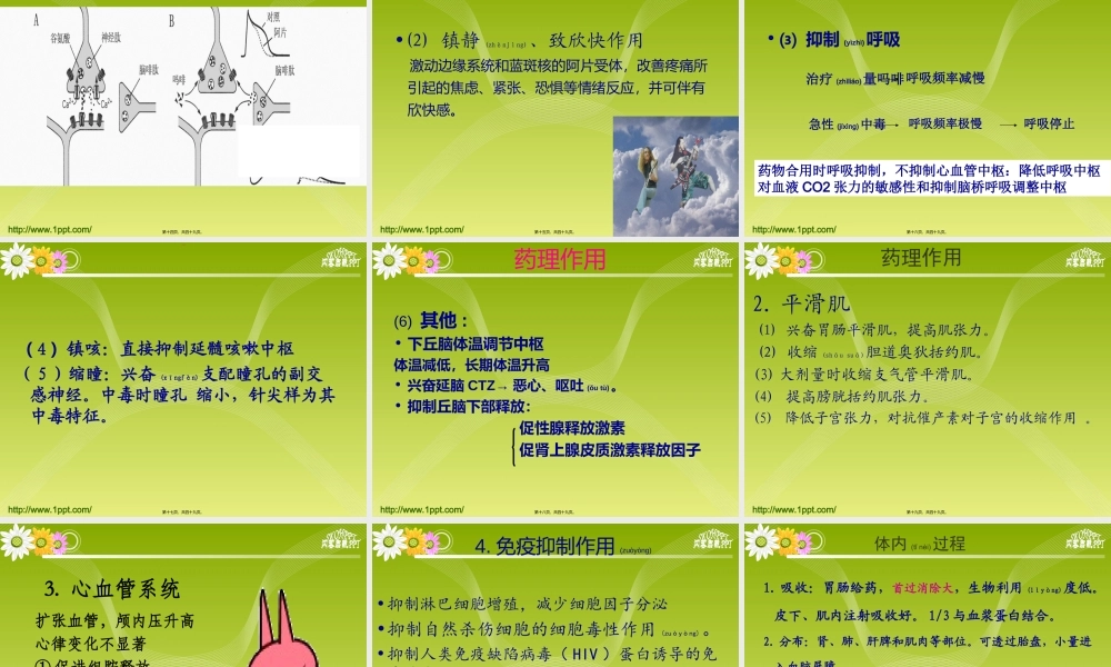 2022年医学专题—【若风制作】2014--19-中枢镇痛药解读(1).ppt