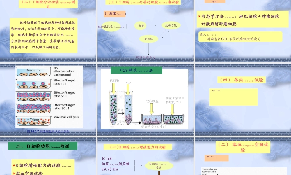 2022年医学专题—免疫细胞功能检测技术概述(1).ppt