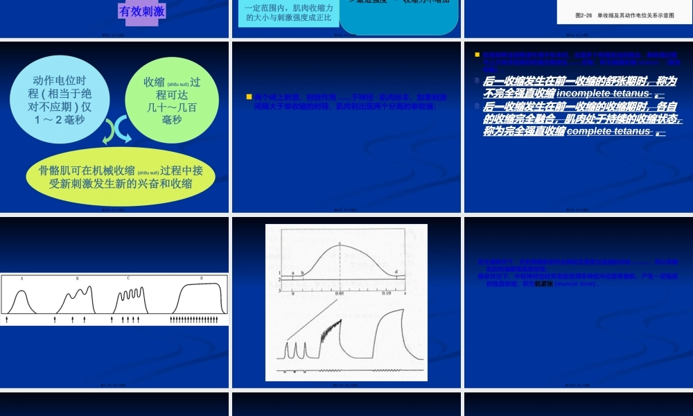 2022年医学专题—刺激强度刺激频率与骨骼肌收缩的关系.(1).ppt