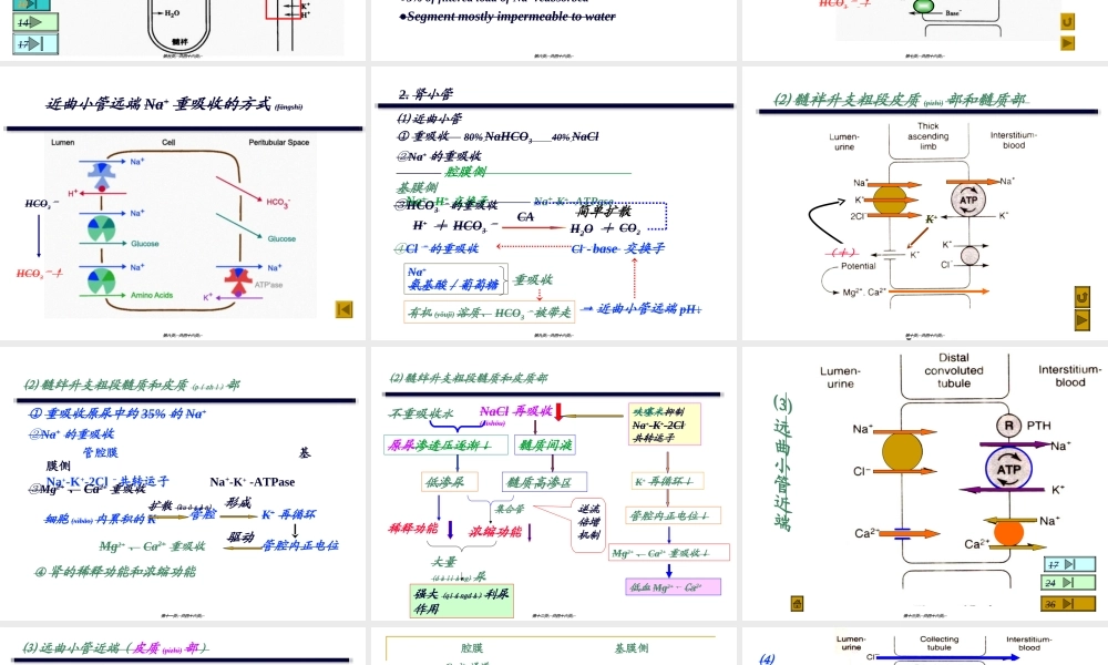 2022年医学专题—利尿药2012(1).ppt