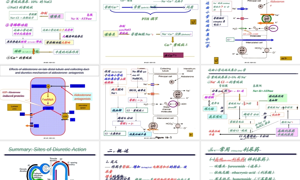 2022年医学专题—利尿药2012(1).ppt