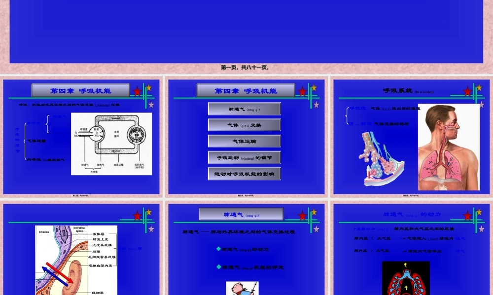 2022年医学专题—呼吸机能资料(1).ppt