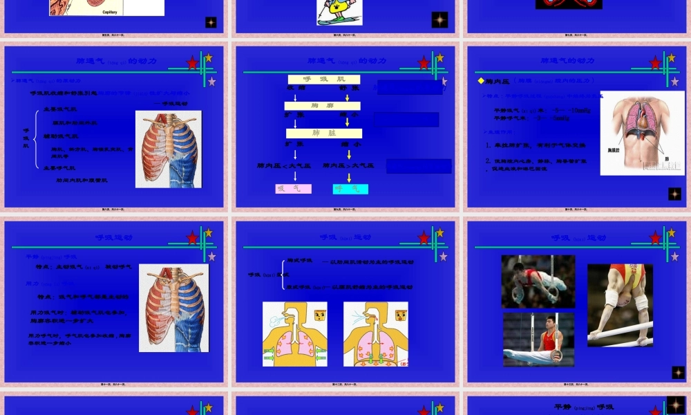 2022年医学专题—呼吸机能资料(1).ppt