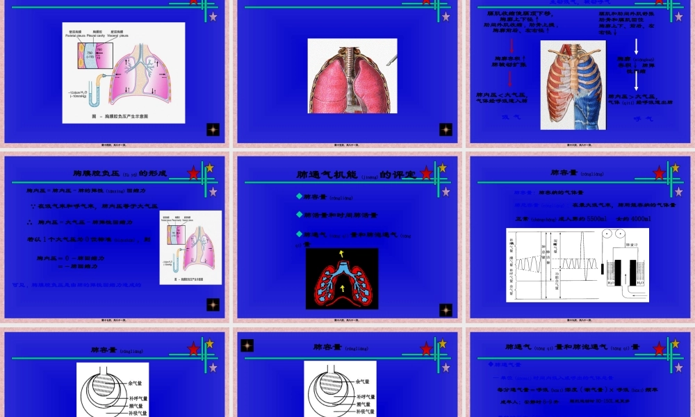 2022年医学专题—呼吸机能资料(1).ppt