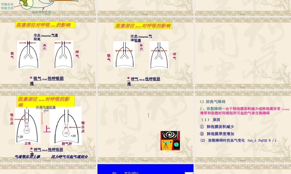 2022年医学专题—呼吸衰竭-respiratory-failure一、概述-定义：外呼吸(1).ppt