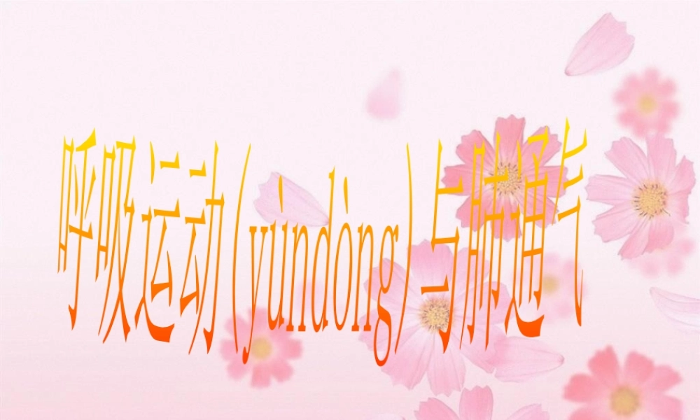 2022年医学专题—呼吸运动与肺通气(1).ppt