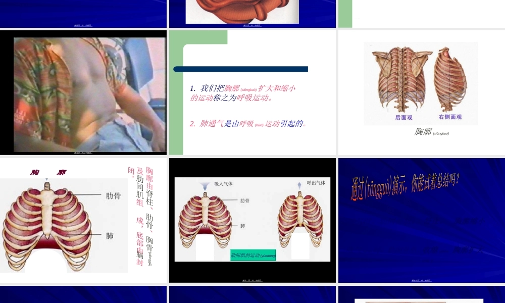 2022年医学专题—呼吸运动与肺通气(1).ppt