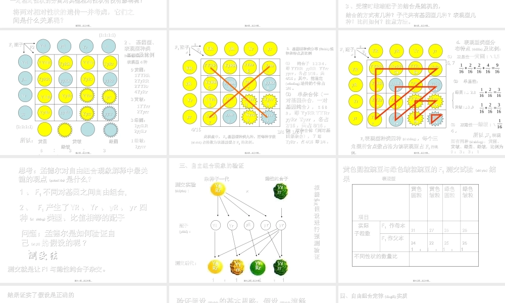 2022年医学专题—妈妈和姐姐都是单眼皮-我是双眼皮-猜猜我爸爸是双眼皮还(1).ppt