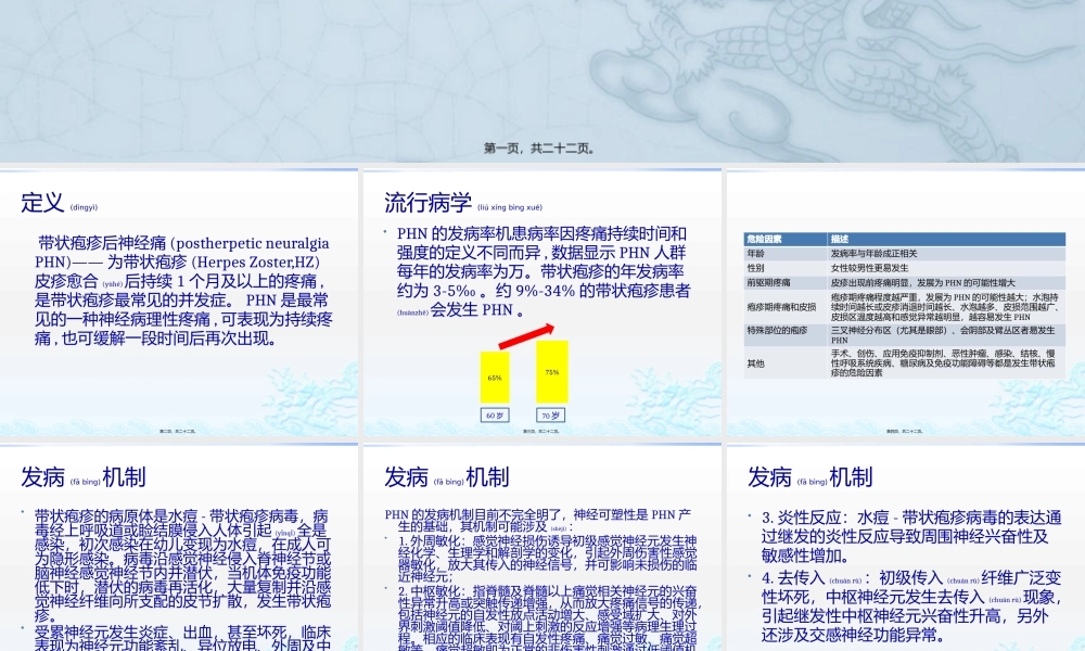 2022年医学专题—带状疱疹后神经痛(1).pptx