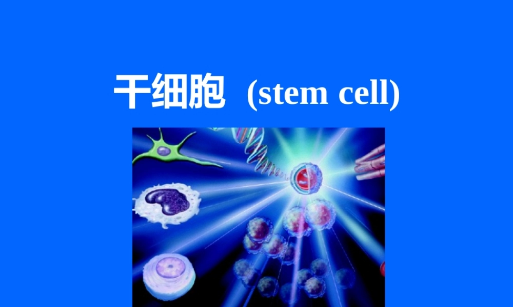 2022年医学专题—干细胞(1).ppt