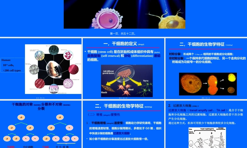 2022年医学专题—干细胞(1).ppt
