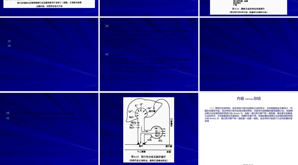 2022年医学专题—或迷走迷走反射加强胃要点(1).ppt