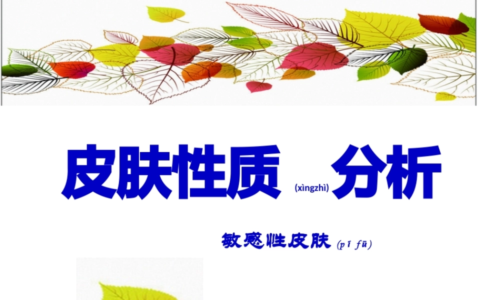 2022年医学专题—敏感性皮肤(1).pptx