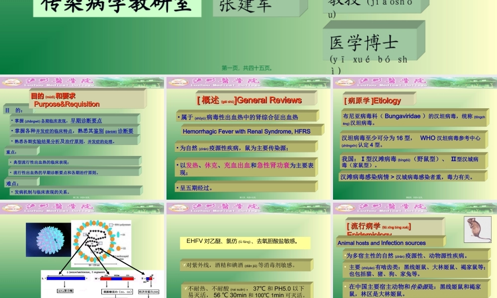 2022年医学专题—流行性出血热.ppt(1).ppt