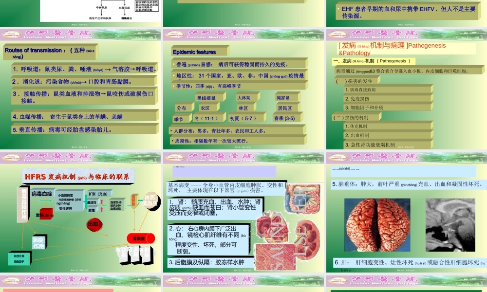 2022年医学专题—流行性出血热.ppt(1).ppt