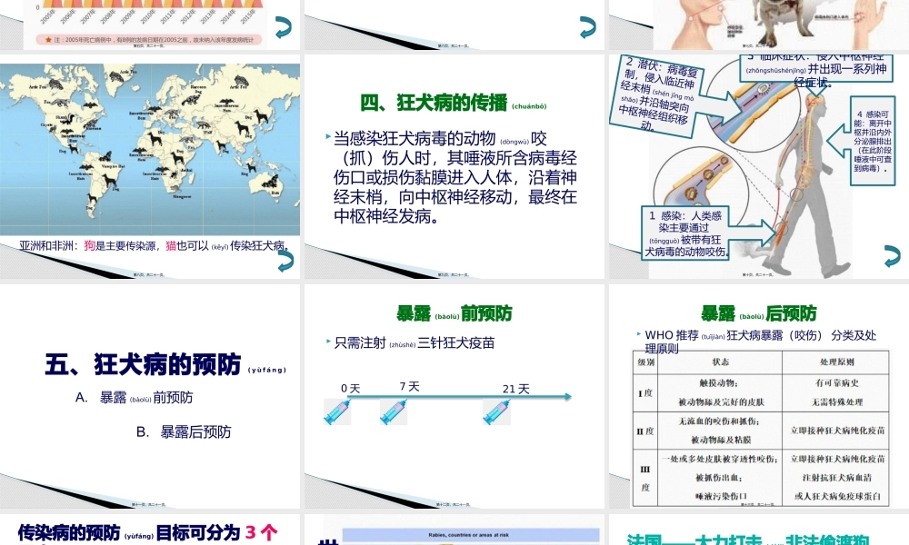 2022年医学专题—狂犬病(1).pptx