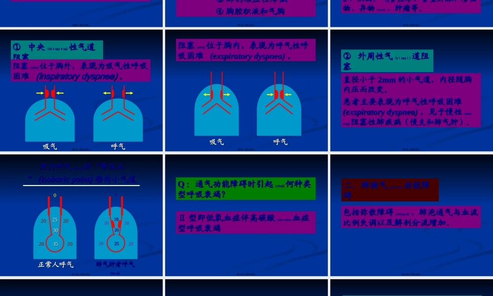 2022年医学专题—第14章-肺功能不全(病生)(1).ppt