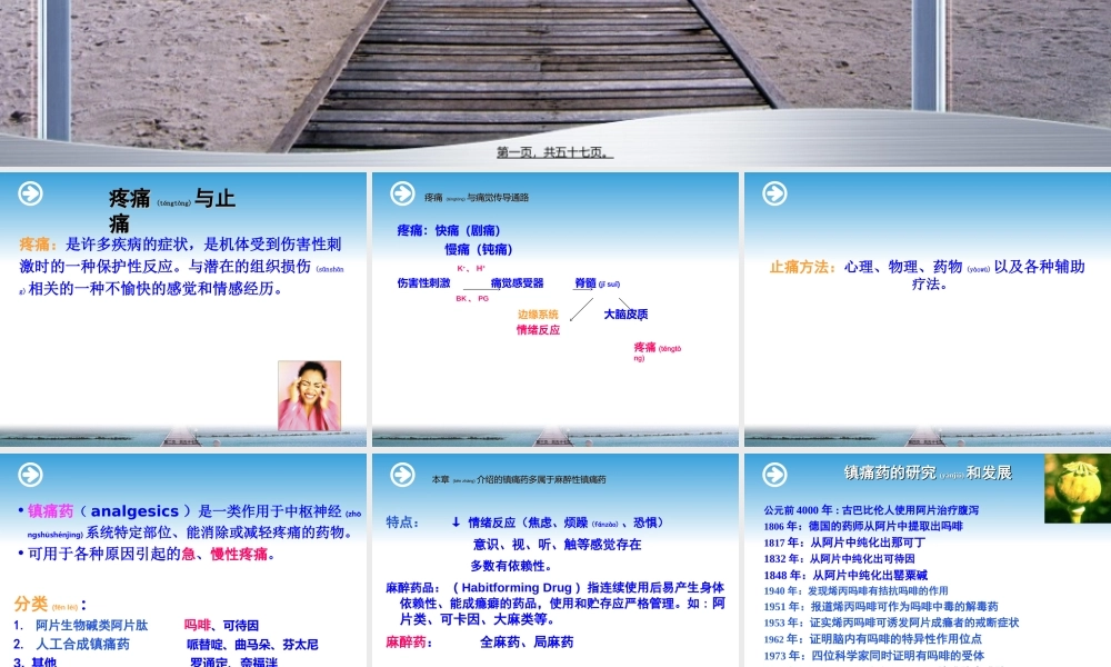 2022年医学专题—第19章镇痛药(1).ppt