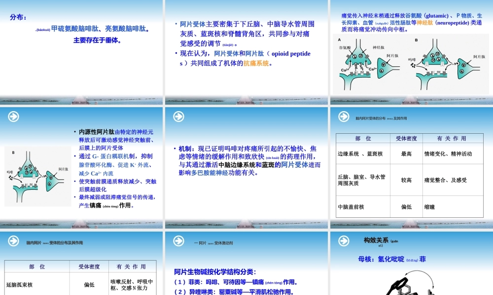 2022年医学专题—第19章镇痛药(1).ppt