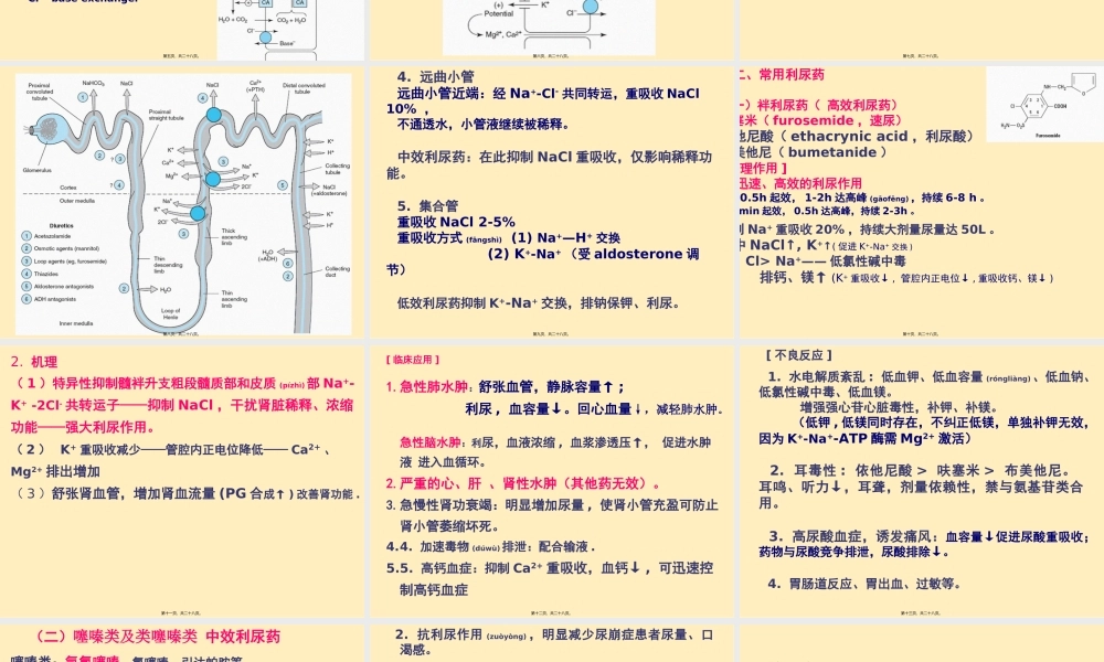 2022年医学专题—第24章---利尿药及脱水药(1).ppt
