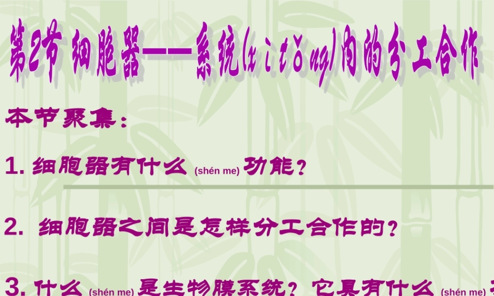 2022年医学专题—第2节-细胞器——系统内的分工合作ppt(1).ppt