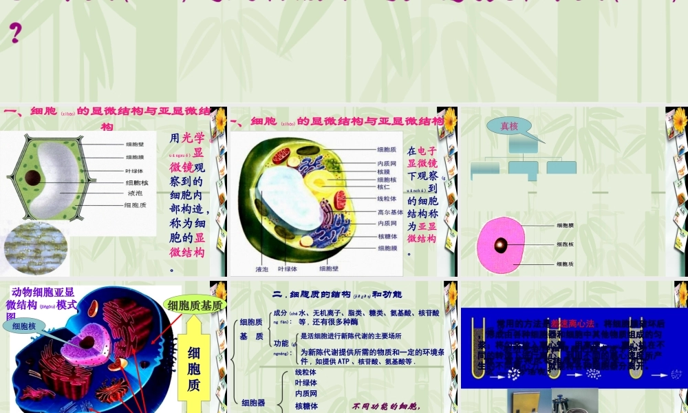 2022年医学专题—第2节-细胞器——系统内的分工合作ppt(1).ppt