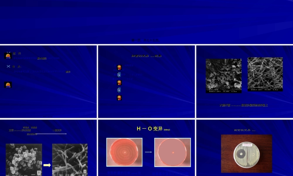 2022年医学专题—第5章-细菌的遗传与变异-1(1).ppt