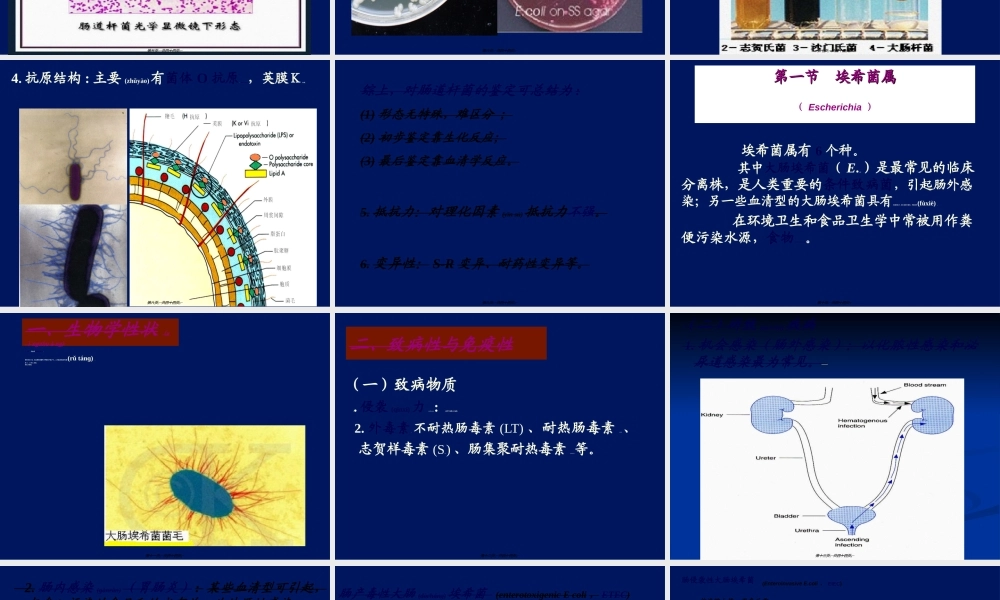 2022年医学专题—第9章-肠道杆菌(1).ppt