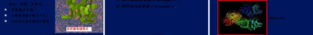 2022年医学专题—第9章-肠道杆菌(1).ppt
