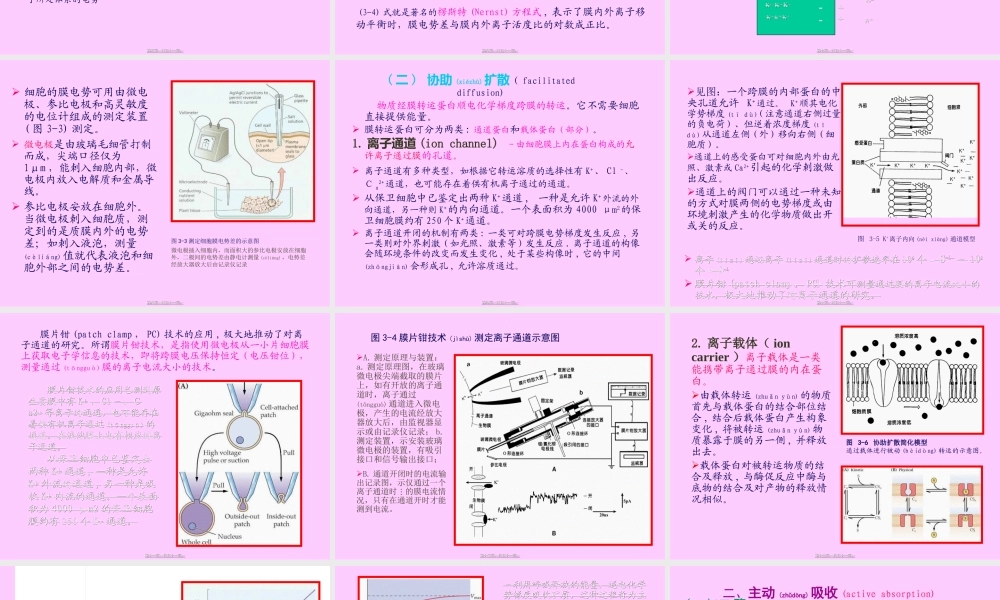 2022年医学专题—第三章-植物的矿质与氮素营养(2)分析(1).ppt