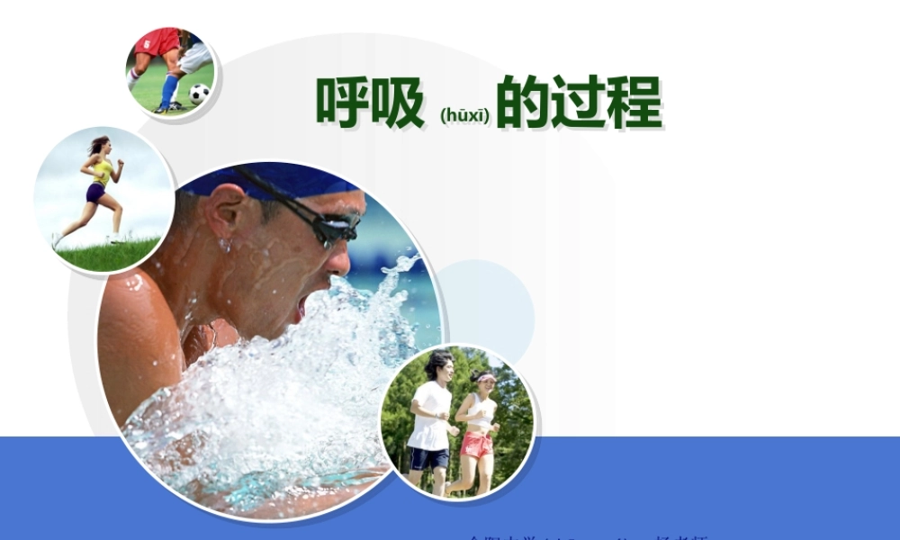 2022年医学专题—第三章1-2呼吸的过程(1).ppt