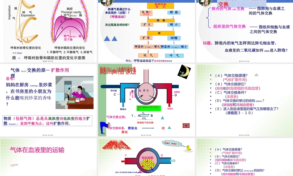 2022年医学专题—第三章1-2呼吸的过程(1).ppt