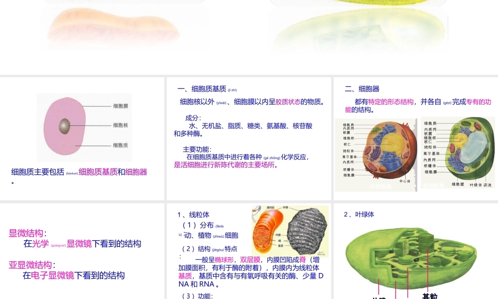 2022年医学专题—第三章第2节-细胞器——系统内的分工合作1(1).ppt