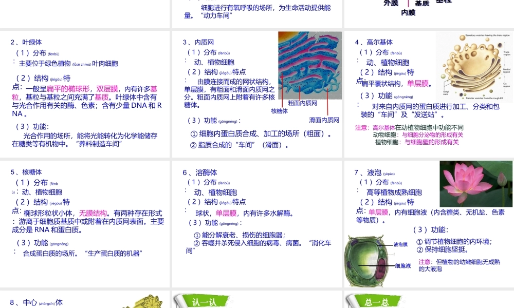 2022年医学专题—第三章第2节-细胞器——系统内的分工合作1(1).ppt