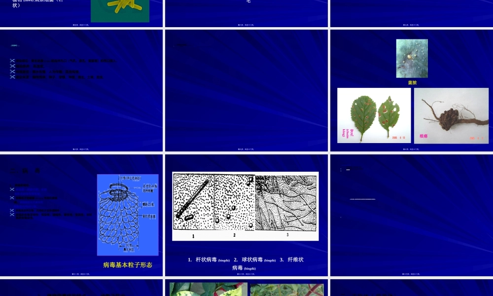 2022年医学专题—第九讲-其它侵染性病害(1).ppt