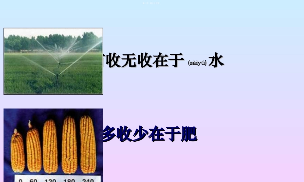 2022年医学专题—第二章-植物的矿质与氮素营养(1).ppt