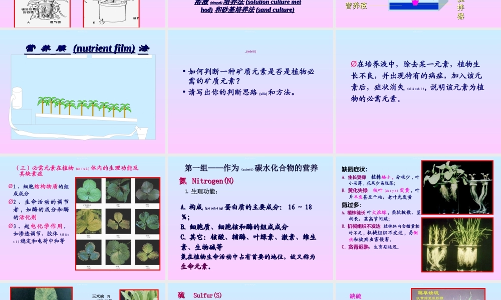 2022年医学专题—第二章-植物的矿质与氮素营养(1).ppt