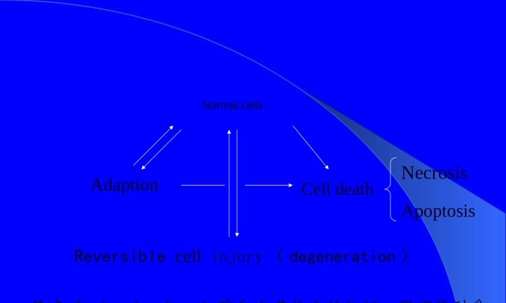 2022年医学专题—第二章-细胞、组织的适应与损伤(1).ppt