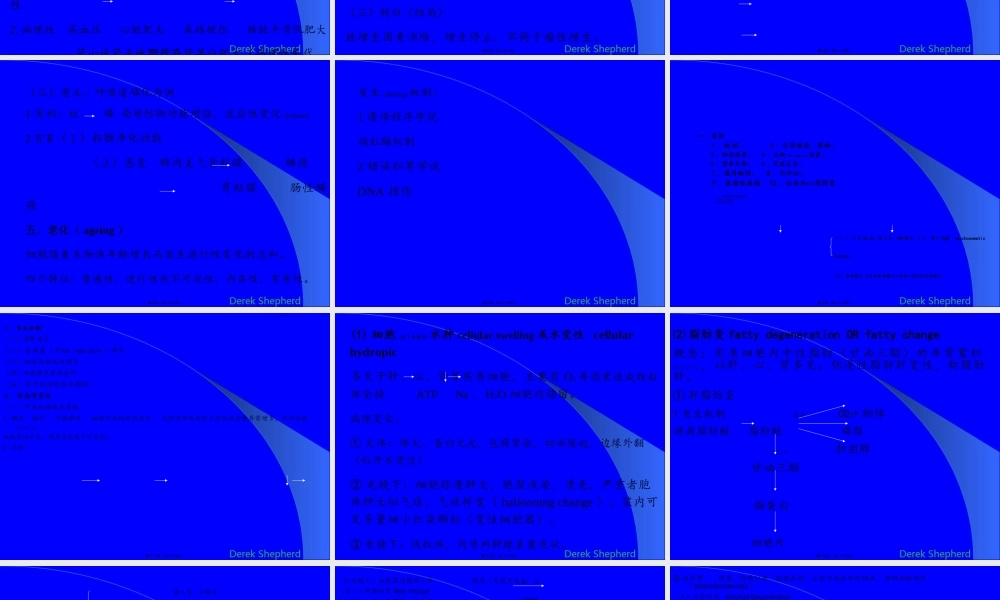 2022年医学专题—第二章-细胞、组织的适应与损伤(1).ppt