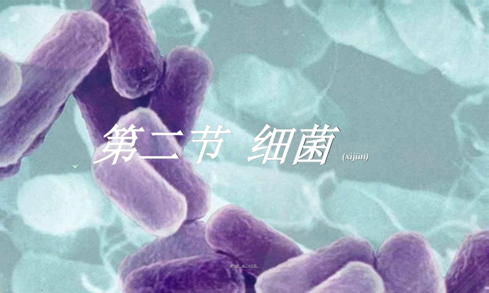 2022年医学专题—第二节细菌-PPT(1).ppt